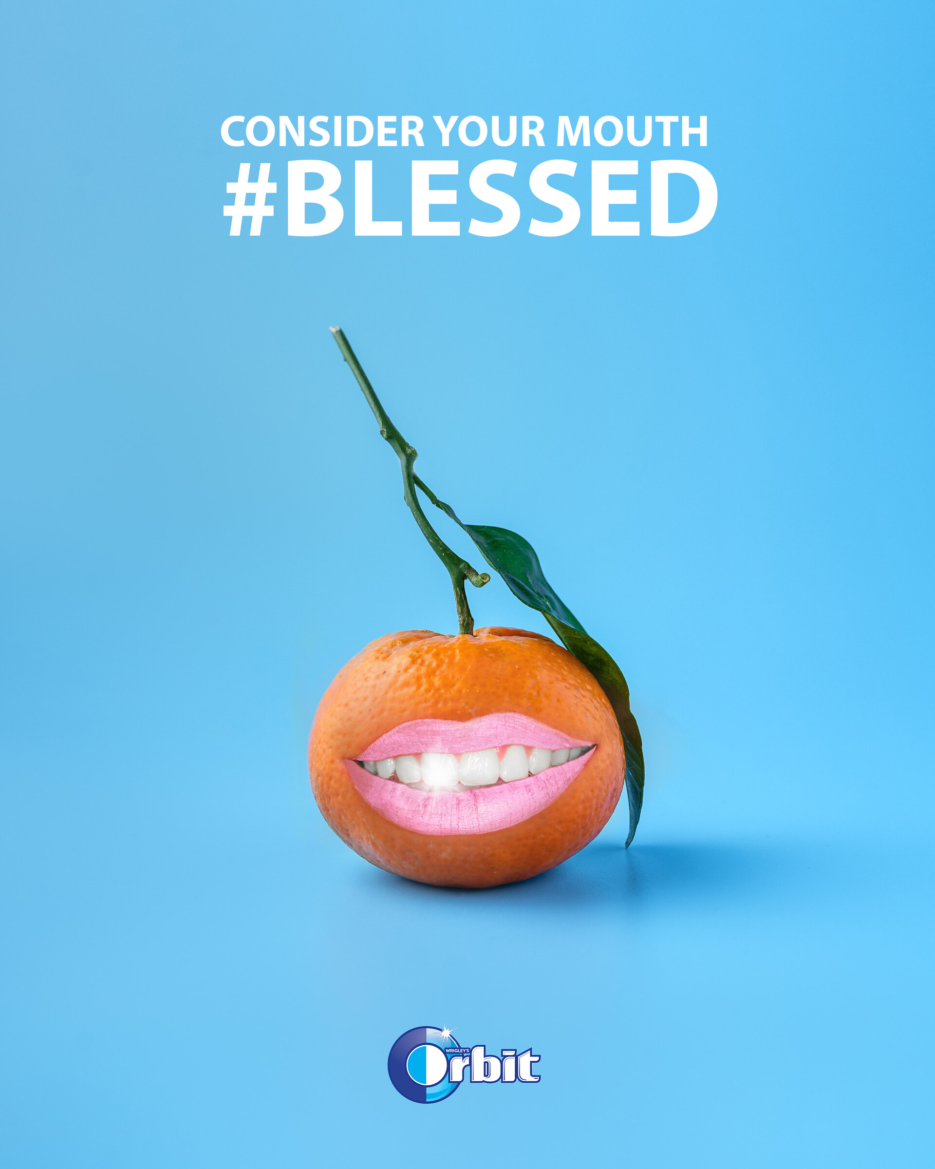 Orbit Commercial Quotes Amazon.com : Orbit Sugarfree Gum, Mint Variety