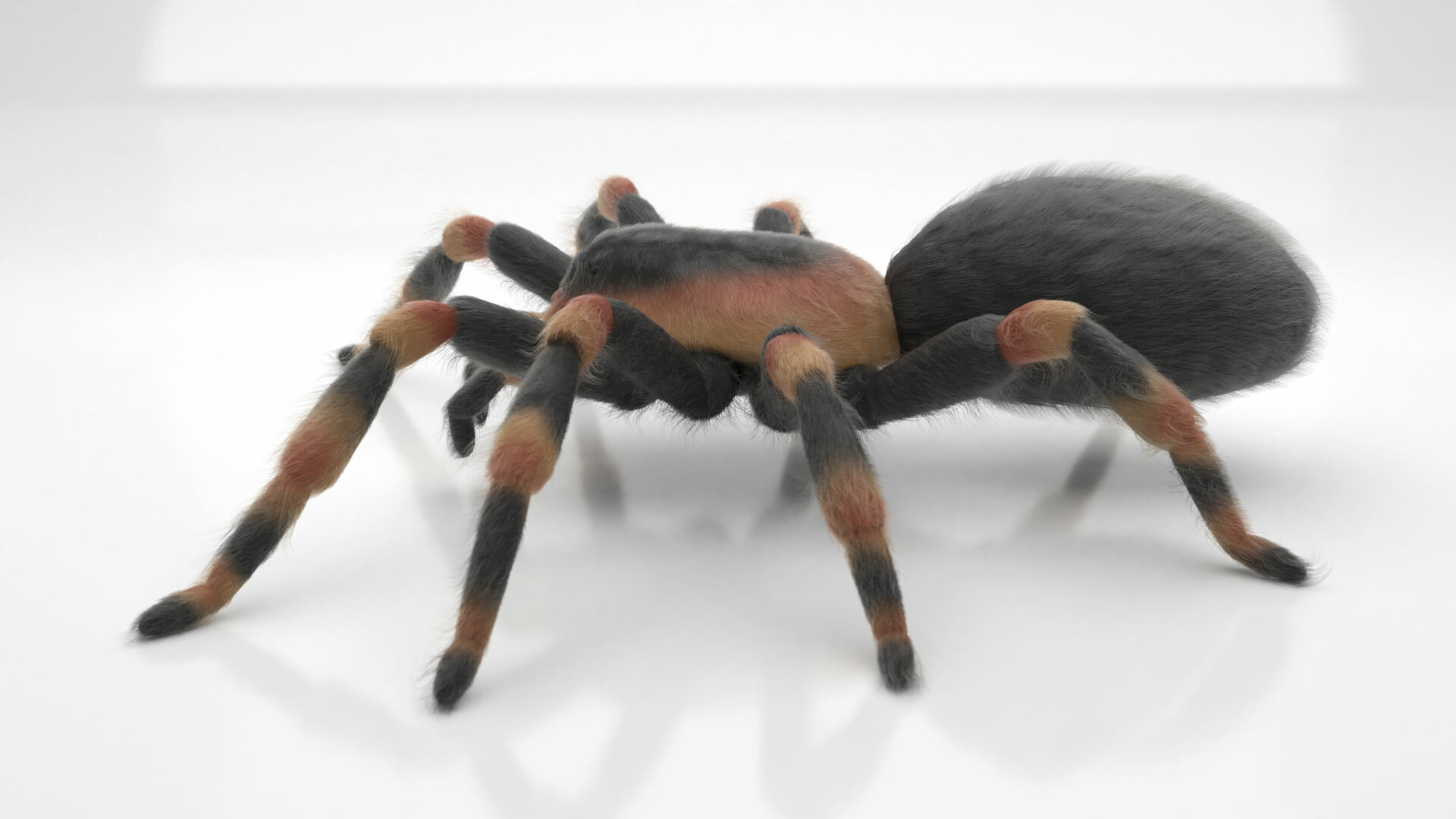 Photoshoot muna bago ulit magising si tarantula (Specimen Zero