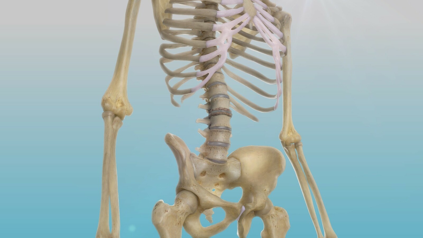 Degenerative Bond