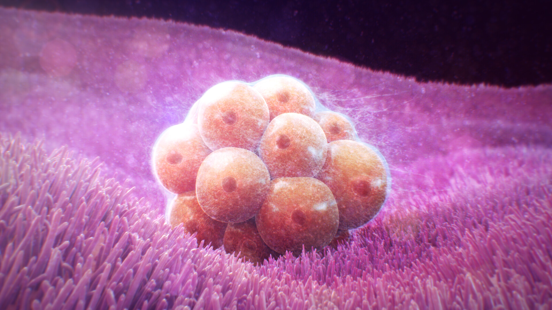 artstation embryo 16 ali almasabi