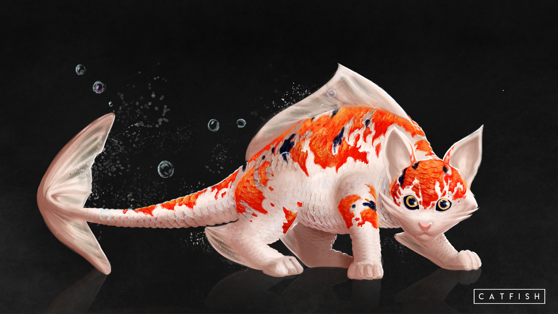 Koi fish cat discount