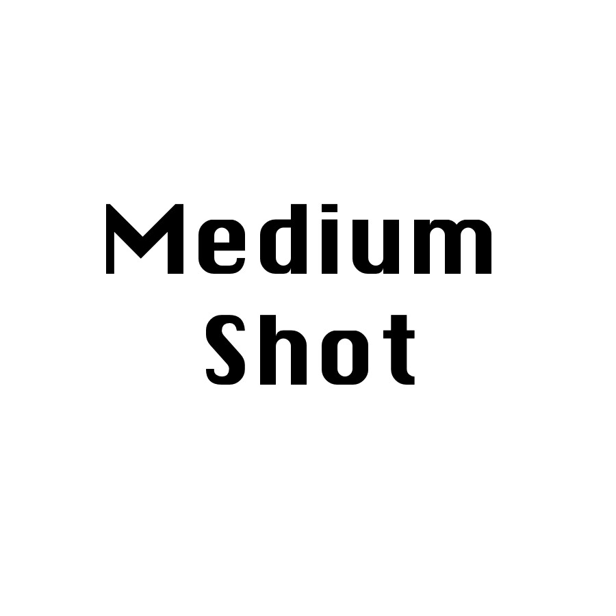 ArtStation - Medium Shot[Temporary]