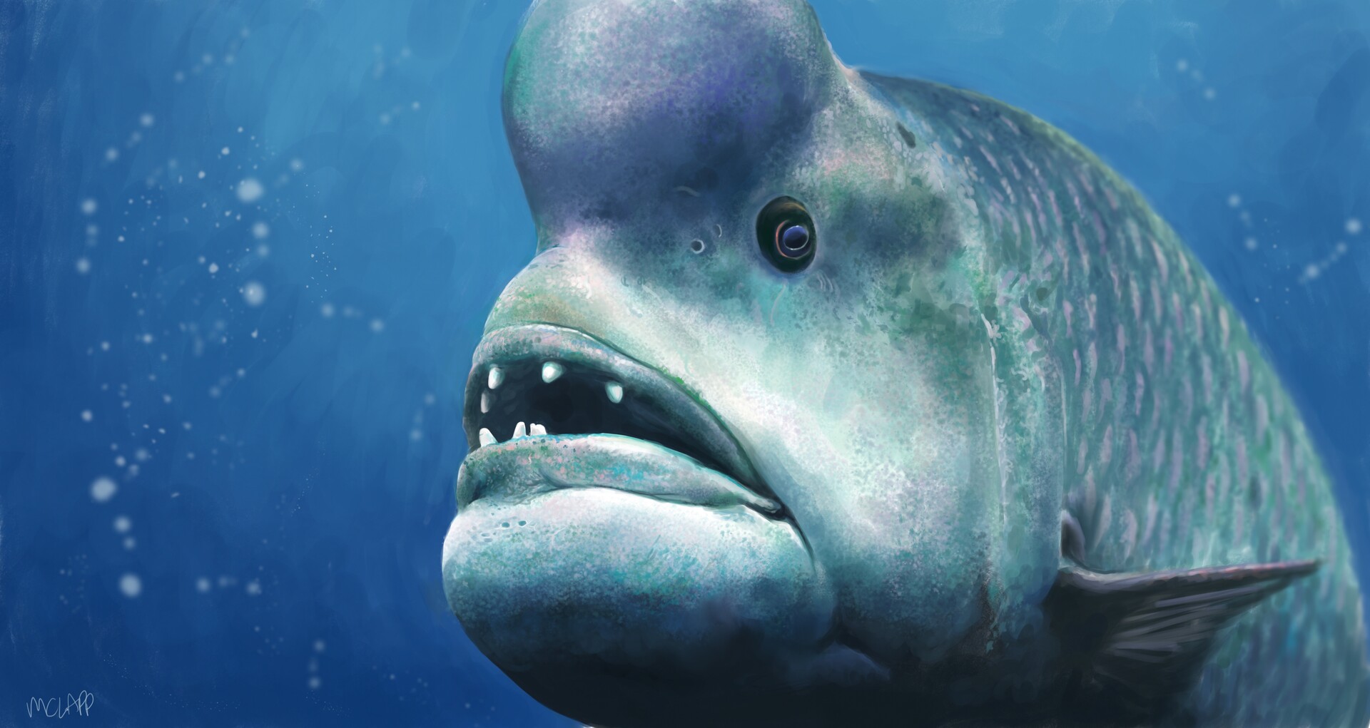 ArtStation - ugly fish