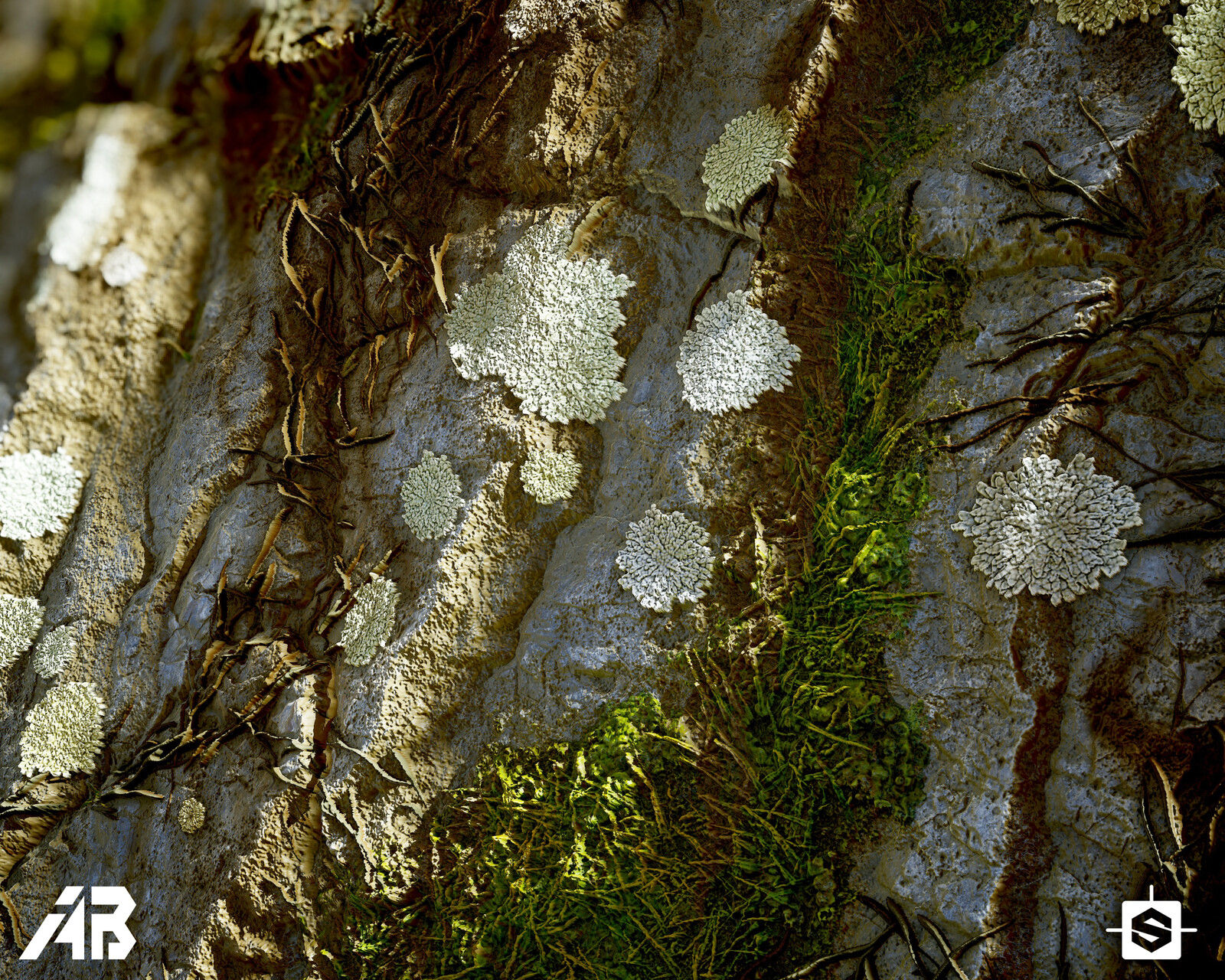 Close up render 