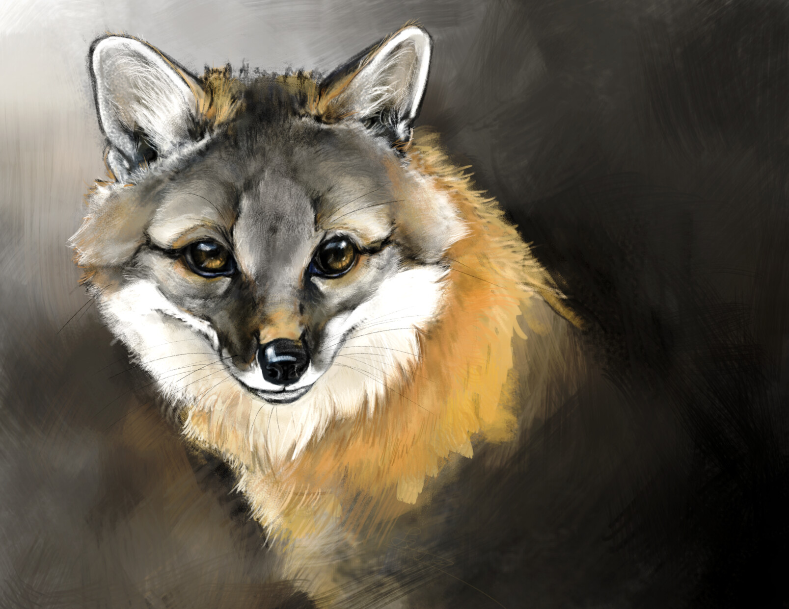 ArtStation - Fox study digital 2D