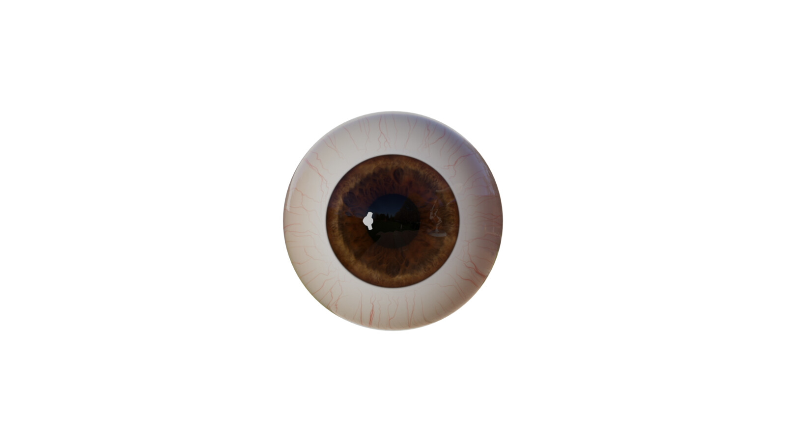 Brown Human Eye