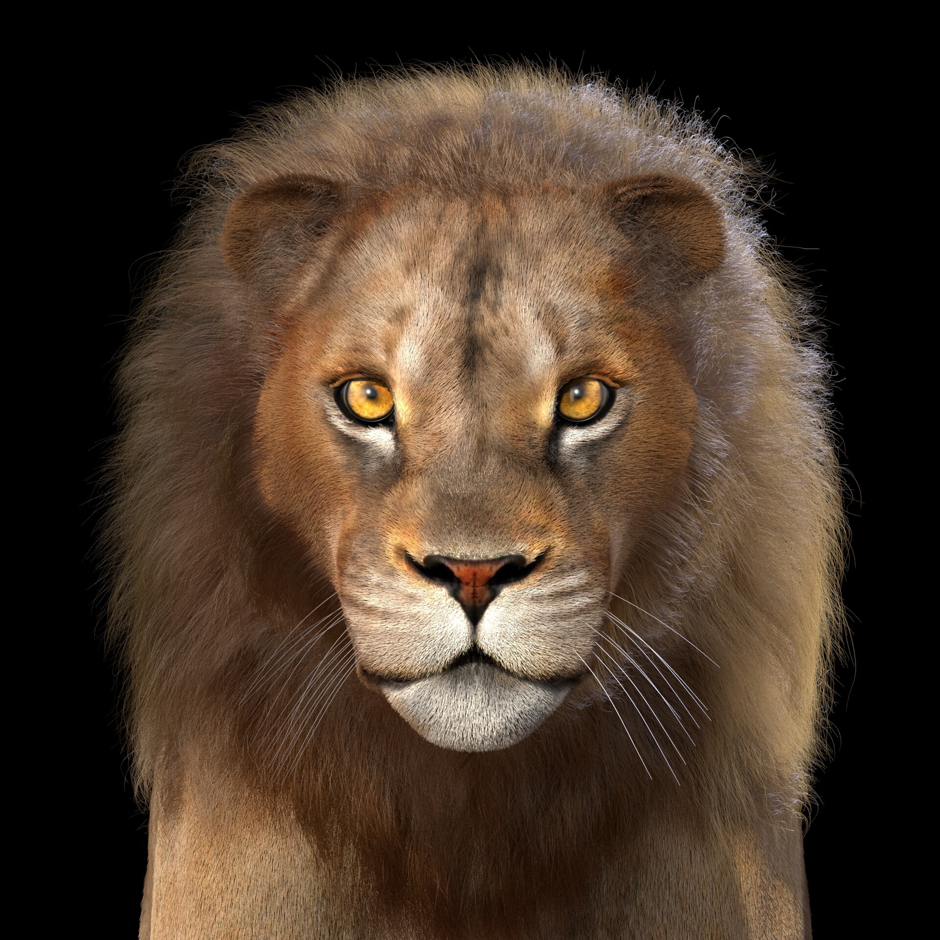 ArtStation - Lion 3d modeling