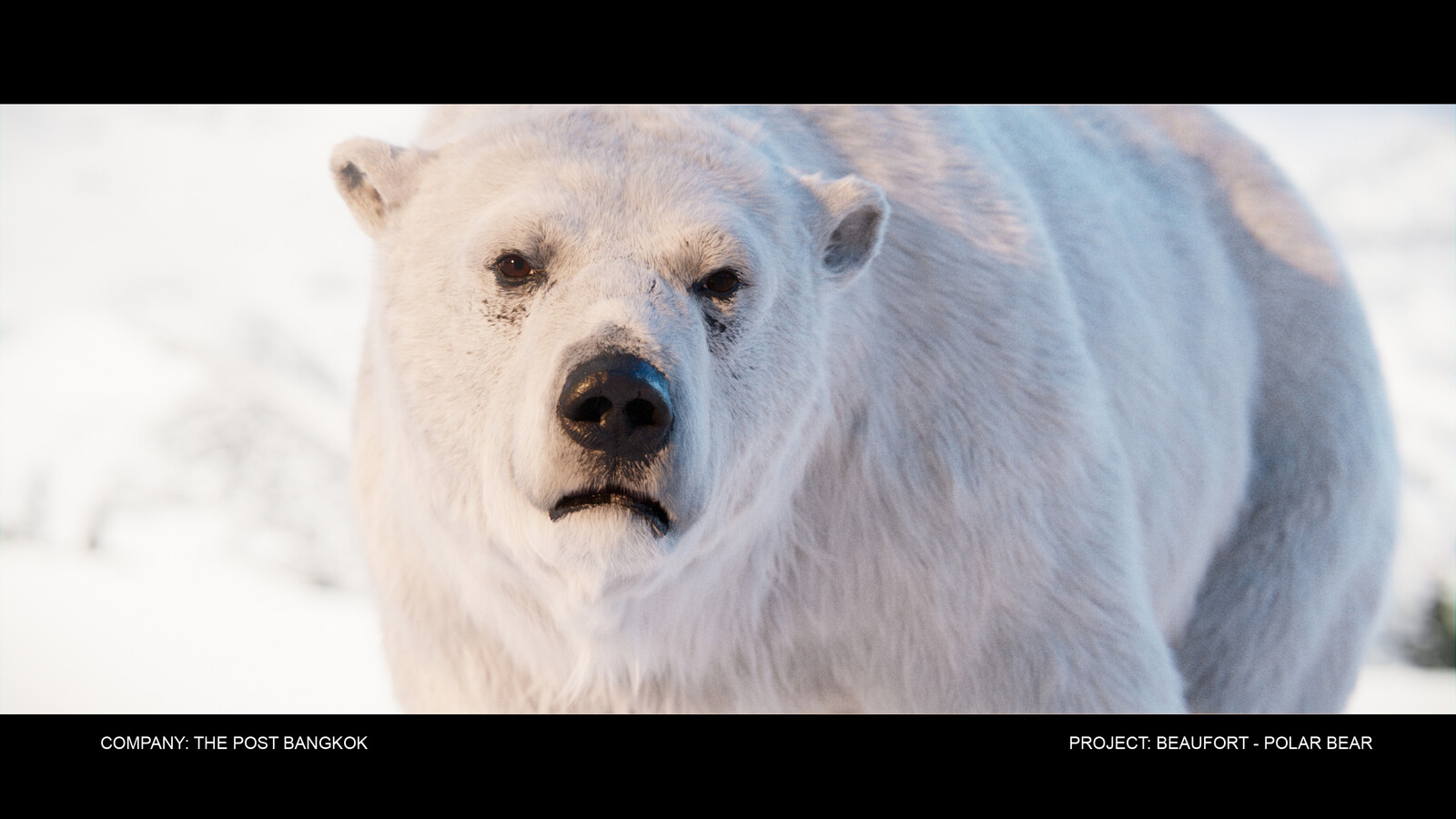 WIP 4 : Polar Bear