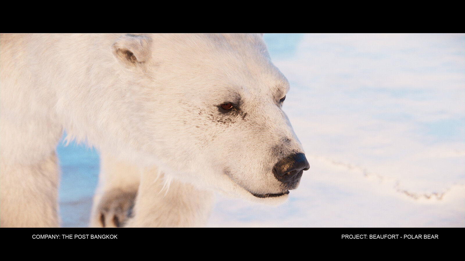 WIP 4 : Polar Bear