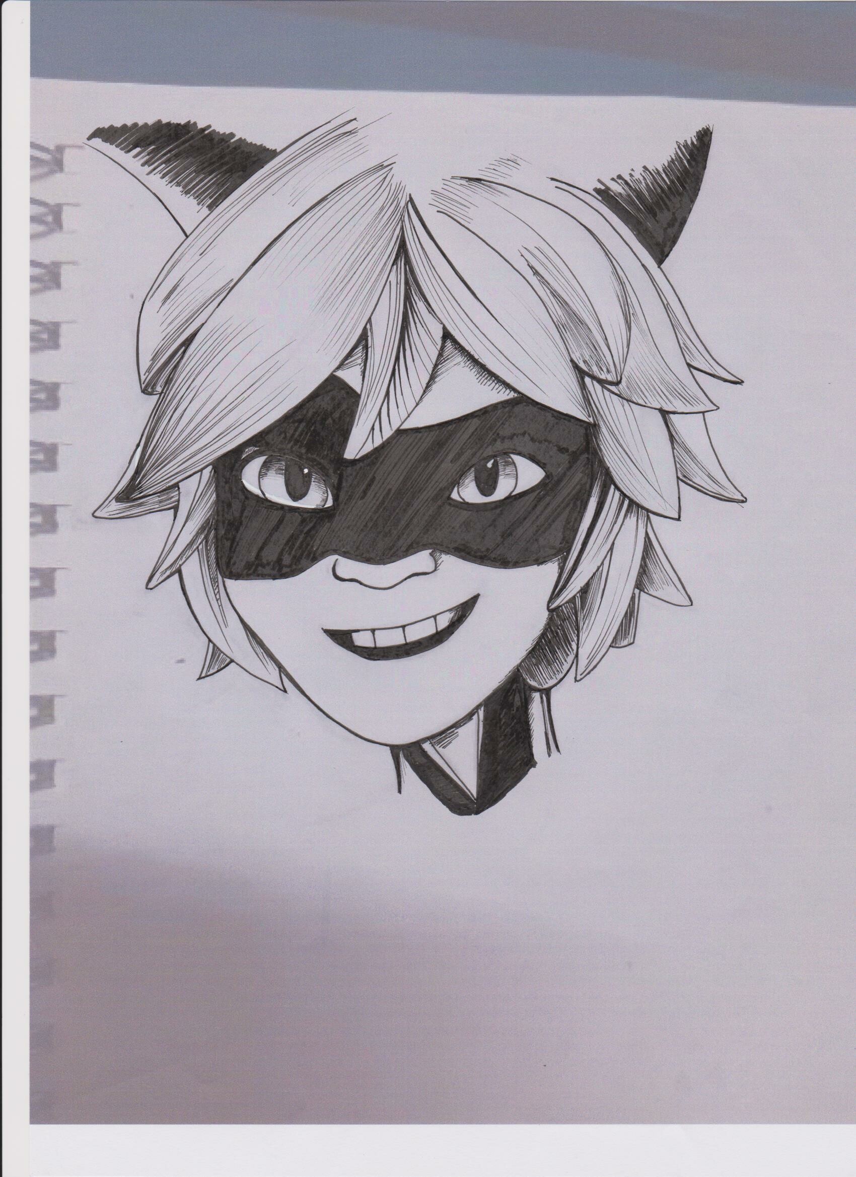Artstation Chat Noir Smile Amfey Art
