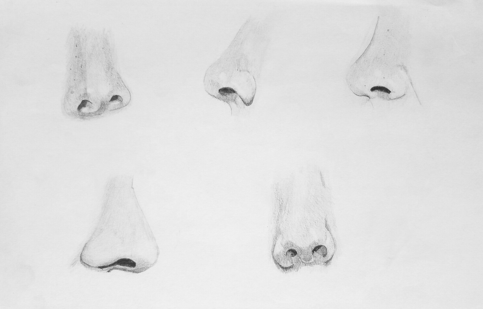 Noses