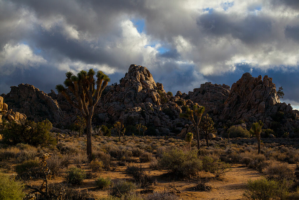 Photography light and color exploration in California desert.