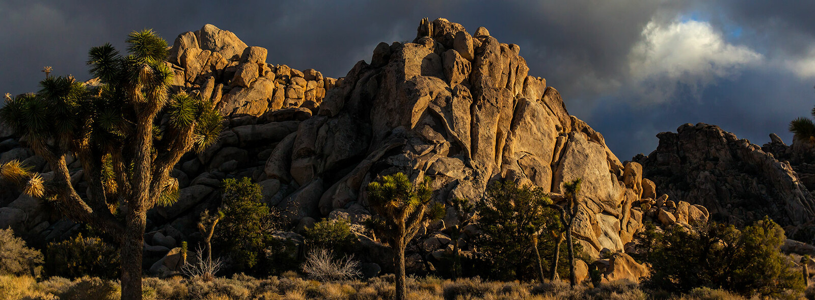 Photography light and color exploration in California desert.
