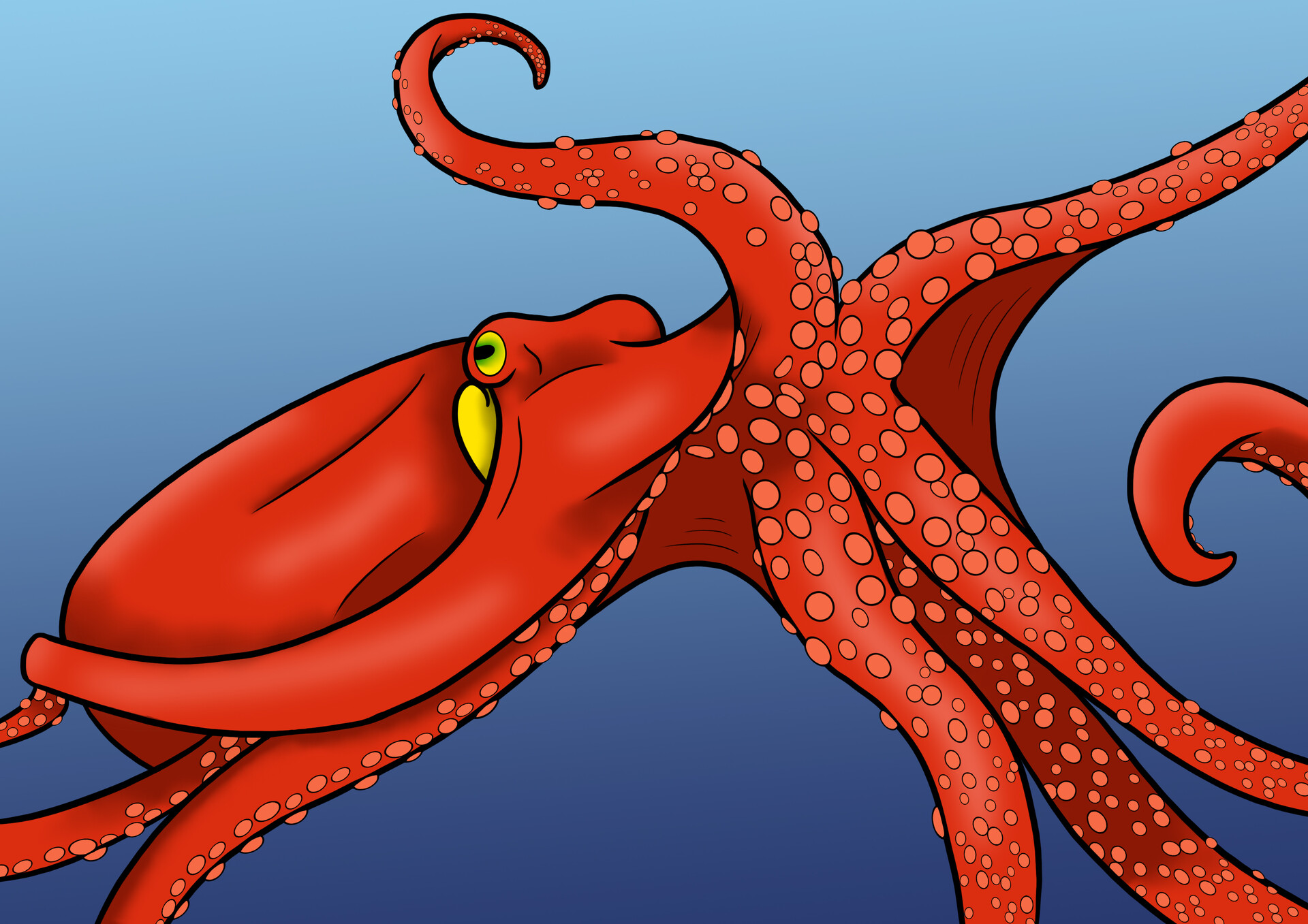 Octopus, my wife, color pencil, 2020 : r/Art