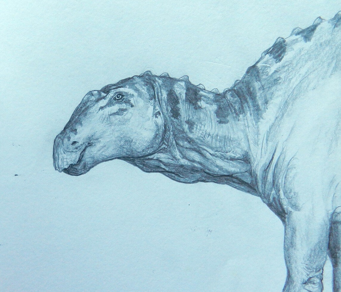 ArtStation - Gryposaurus (sketch)