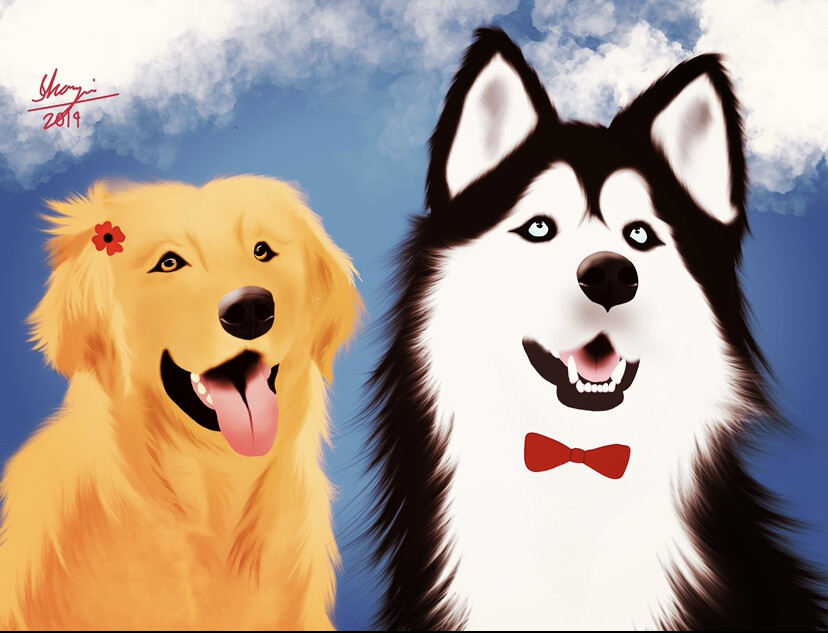 Alaskan malamute 2025 cross golden retriever