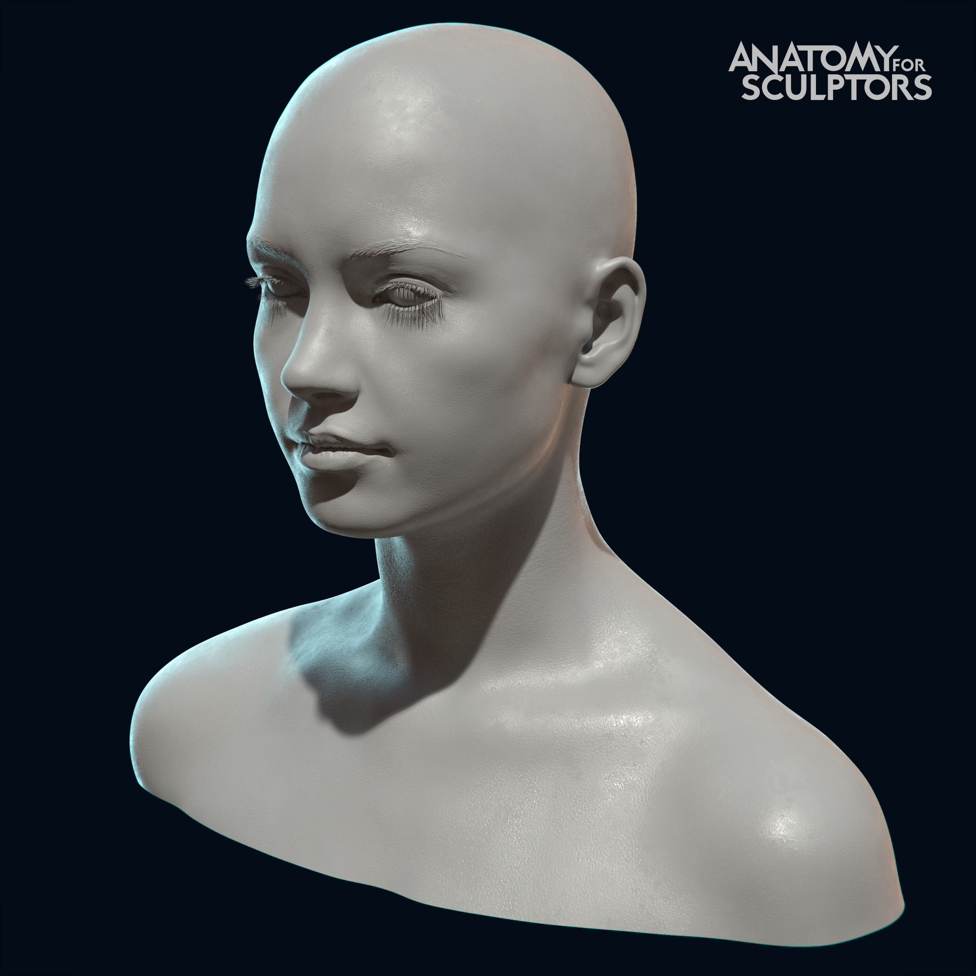 Detailed sculpt