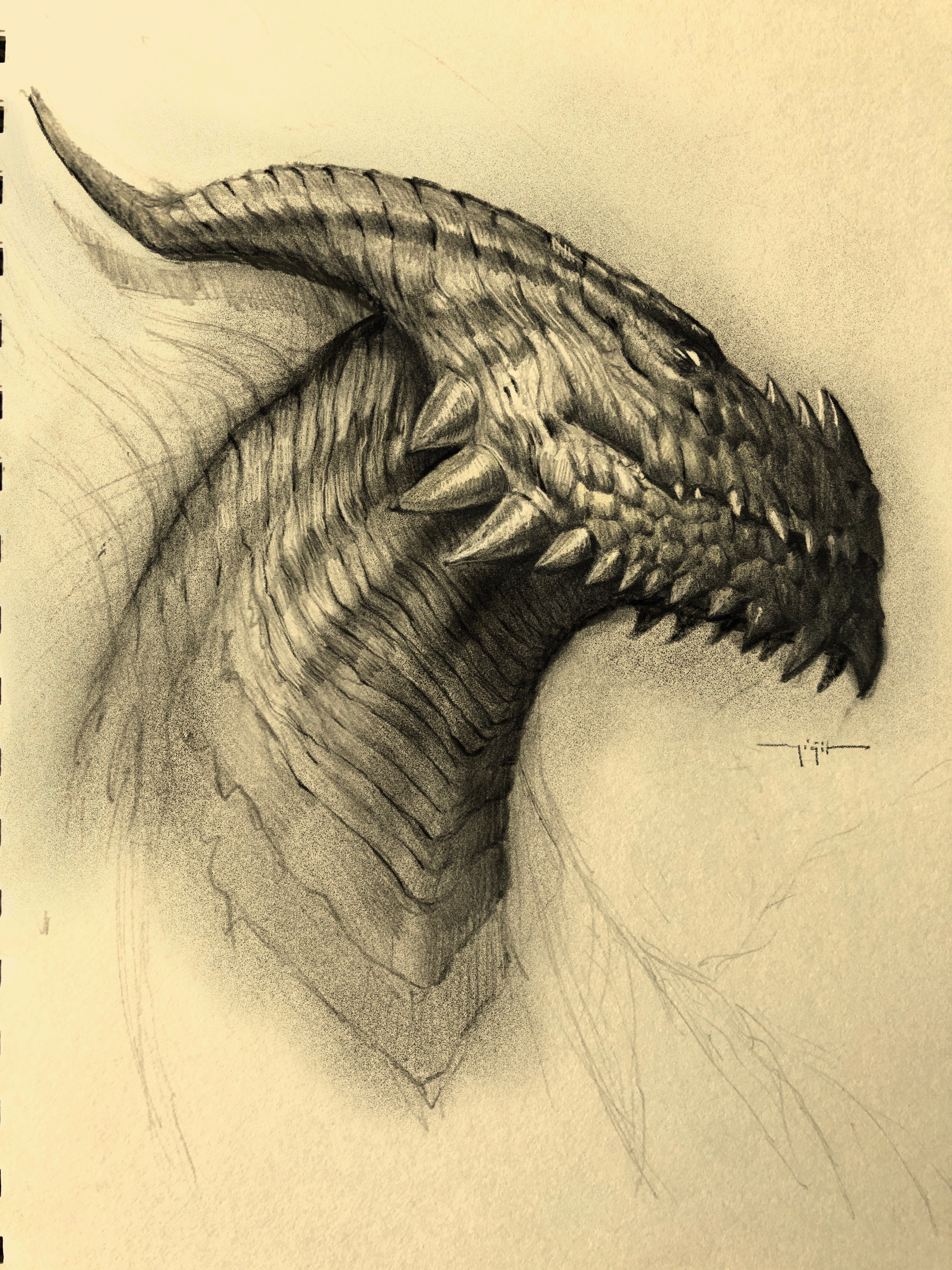 A dragon head
