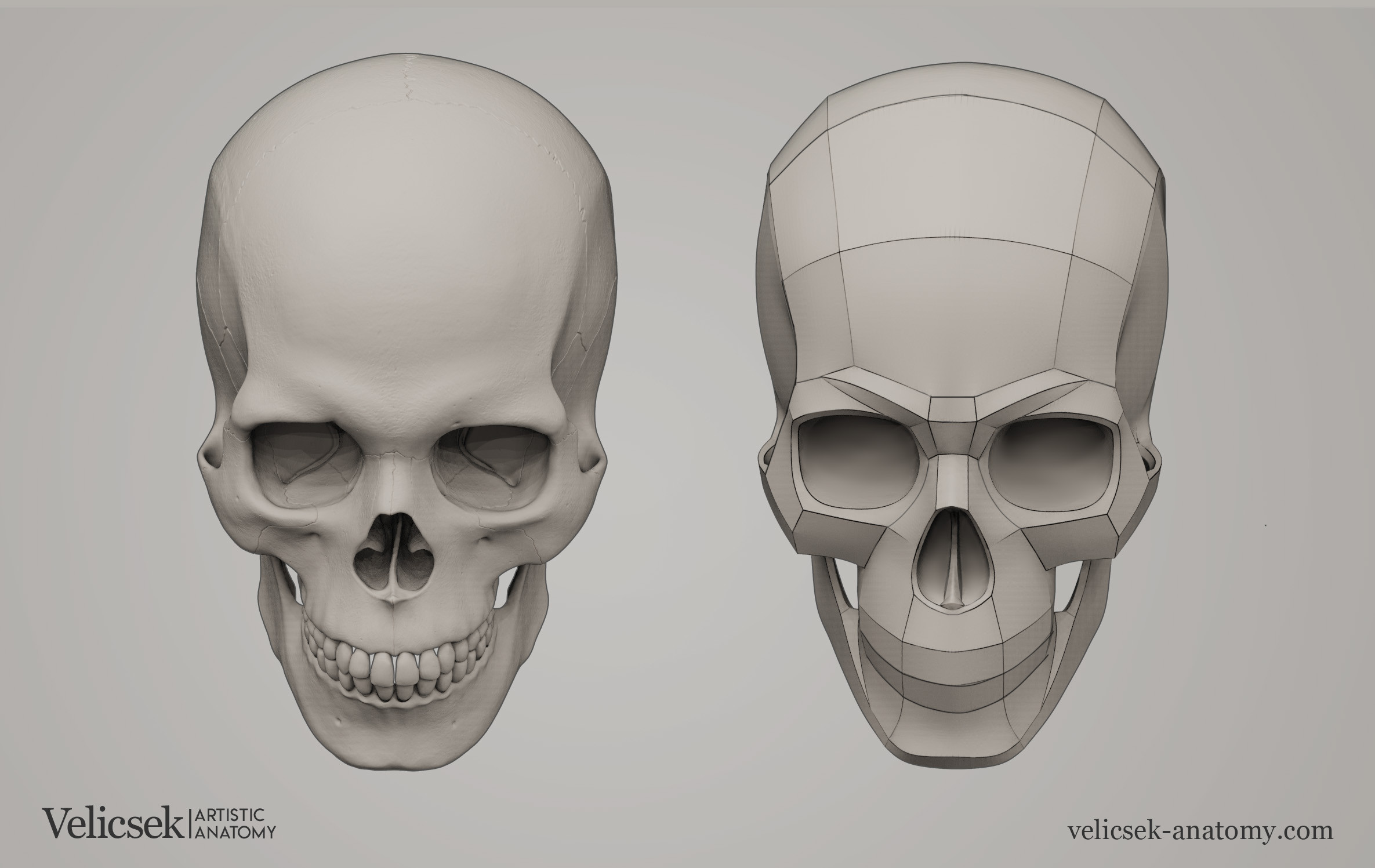 Planes of the skull 