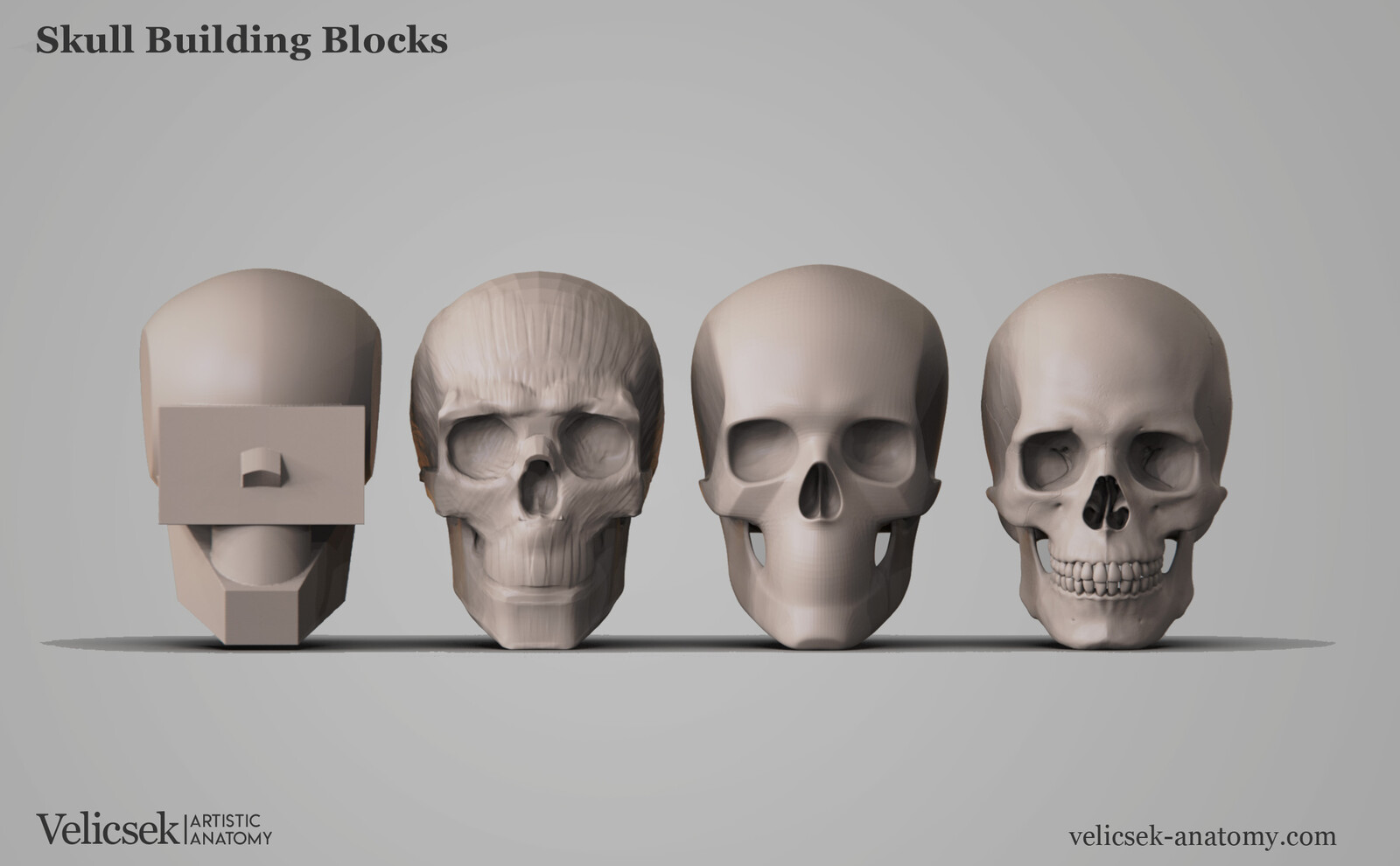 Skull blockout