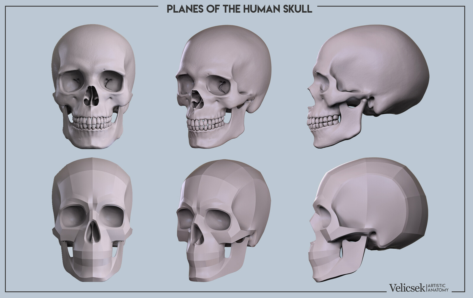 Planes of the skull 