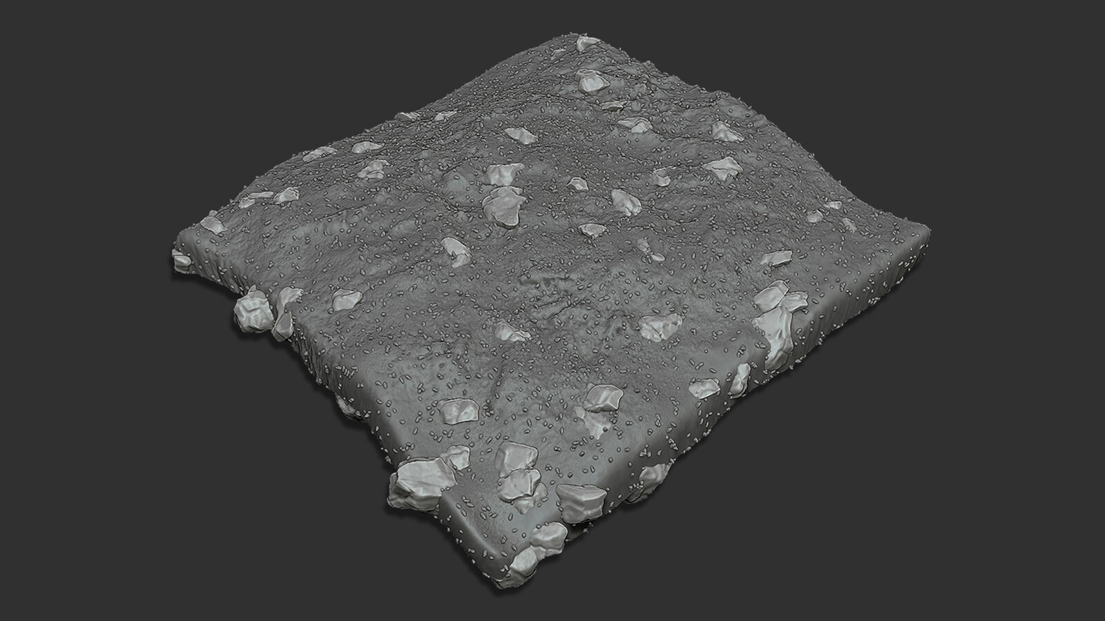 Zbrush Ground with Nanomesh Rocks