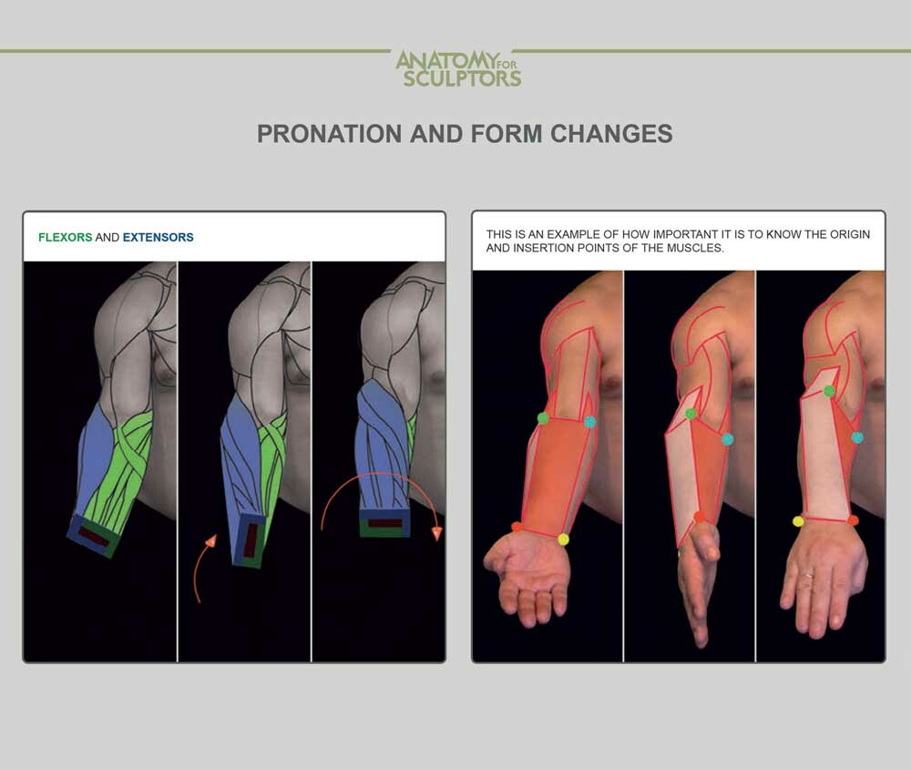 Arm movement