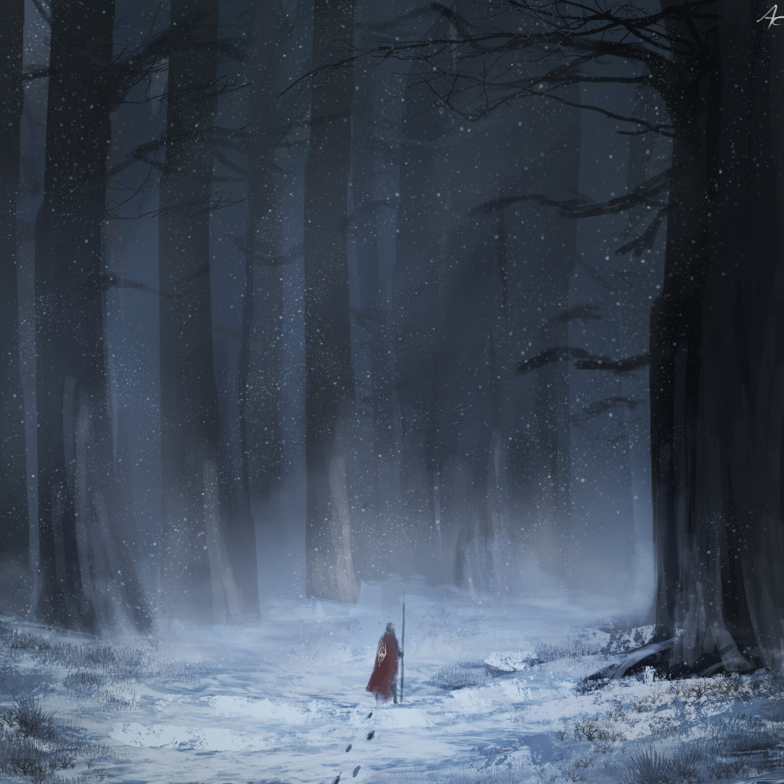 Woods Path