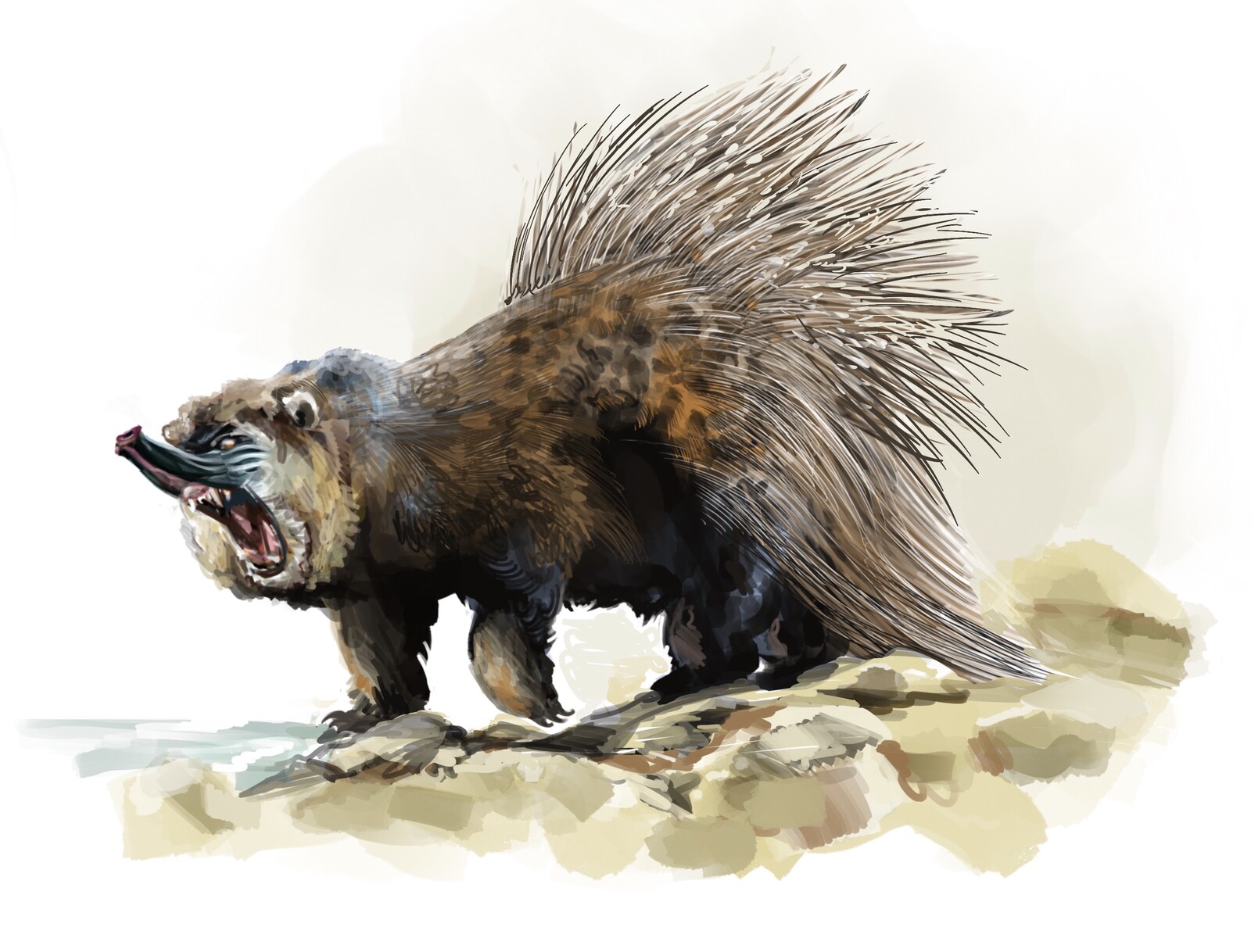 Spinemarten threat display showing its porcupine like spines, some of which (unlike a porcupine) can be fired at creatures at its rear.