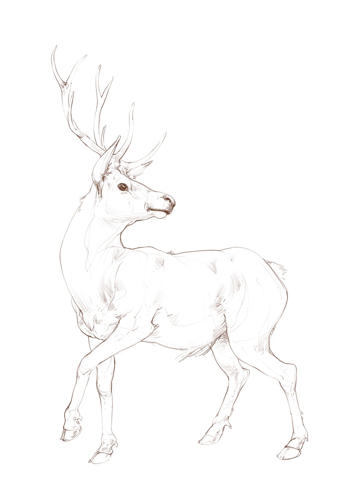 Study