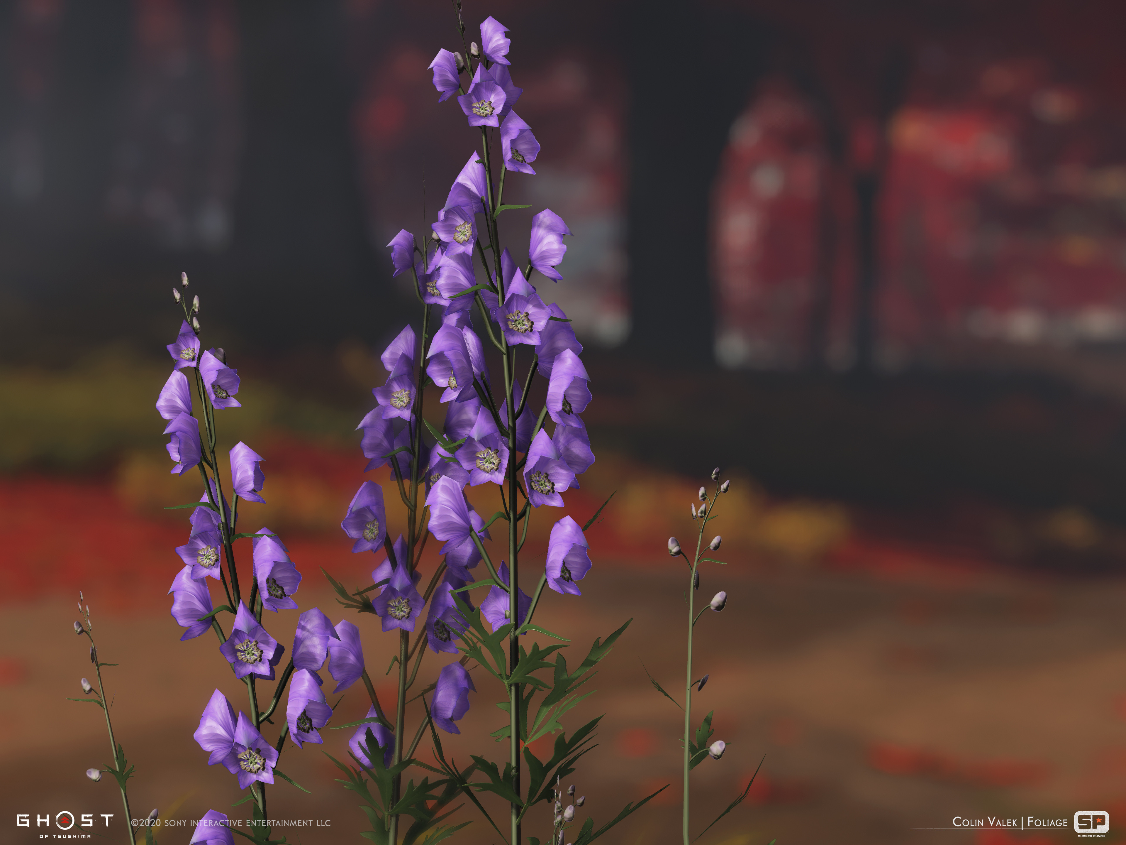 Poisonous Wolfsbane collectible flower