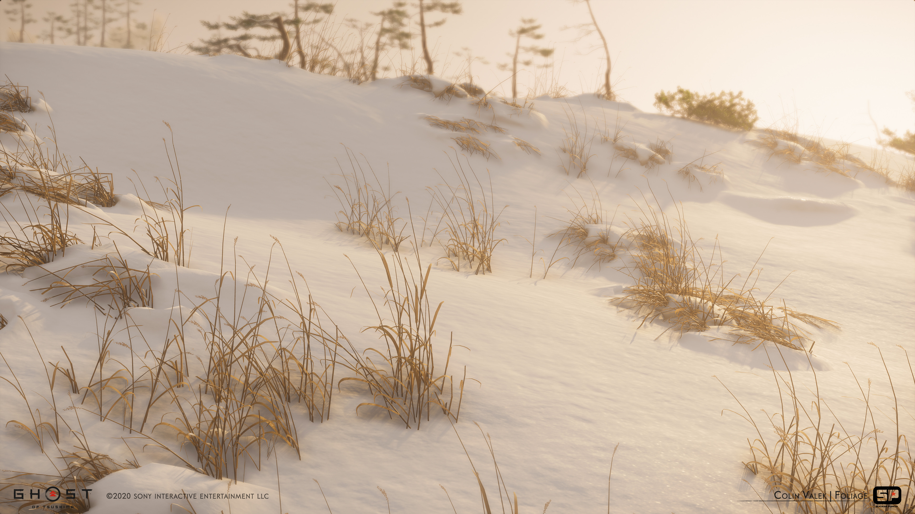 Dead grass
