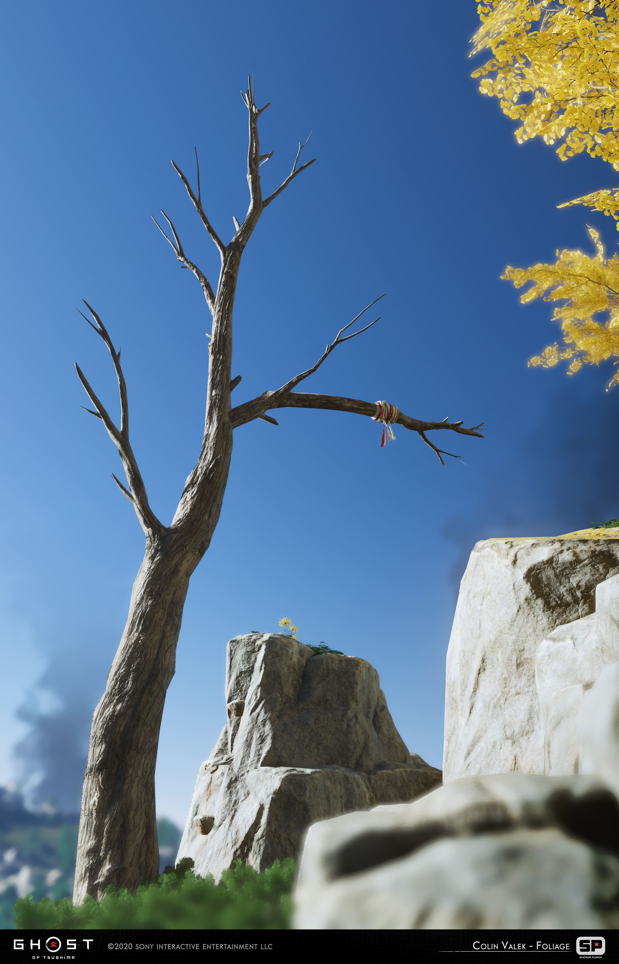 Dead tree used for grappling 