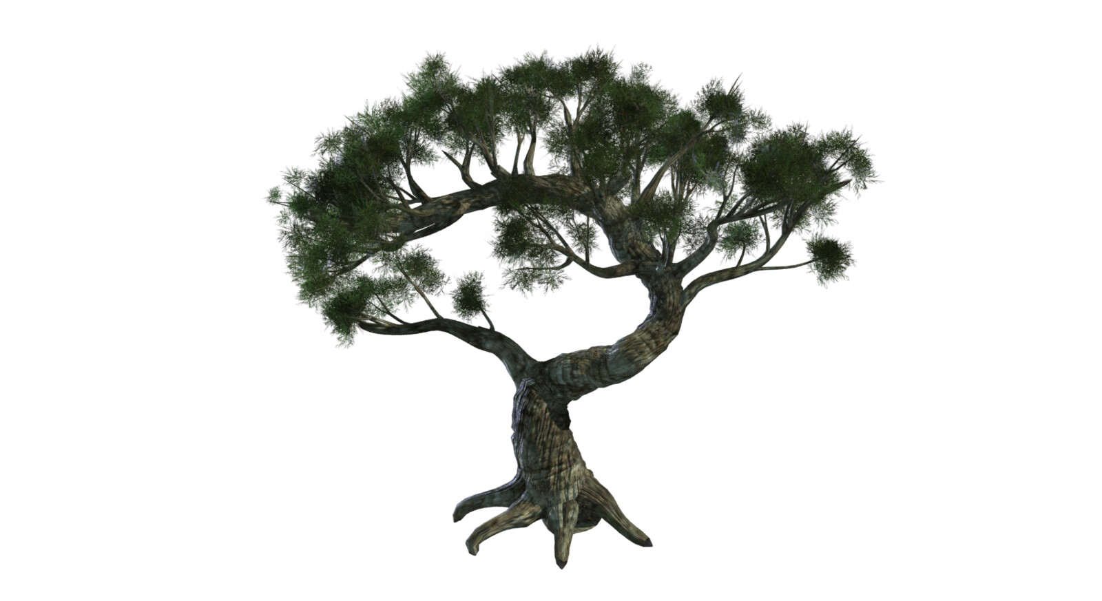 This is the SpeedTree base mesh I started with. I modified it pretty extensively.
