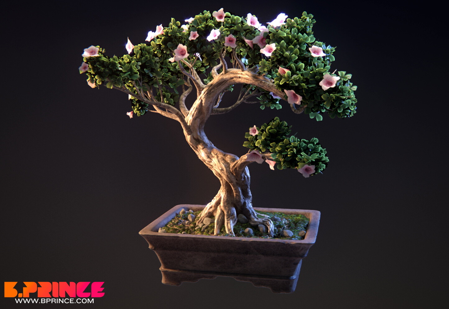 Animated Bonsai Tree