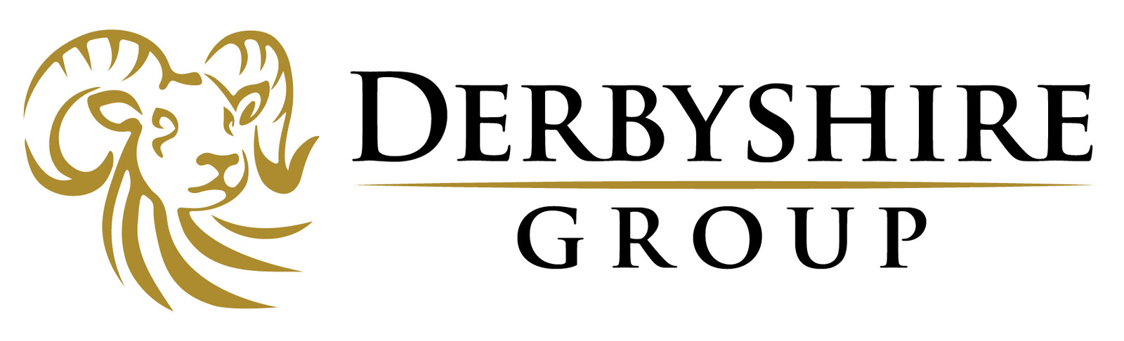 Final Derbyshire Group Logo