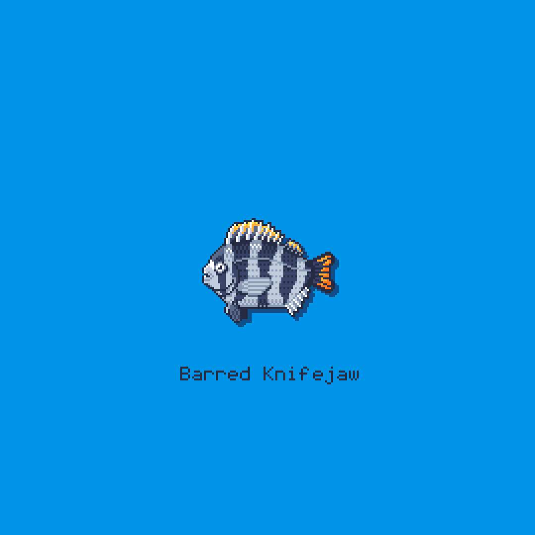 Barred Knifejaw