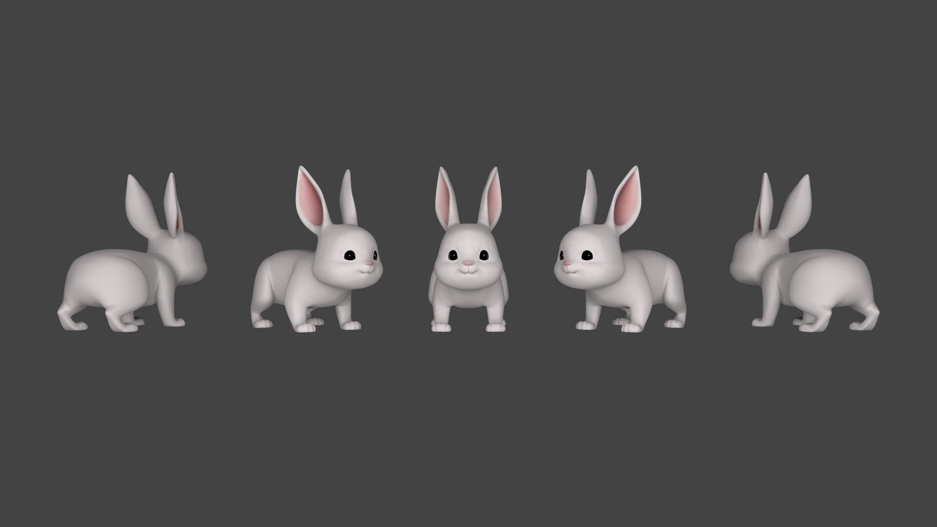 hwee ann tan rabbit model