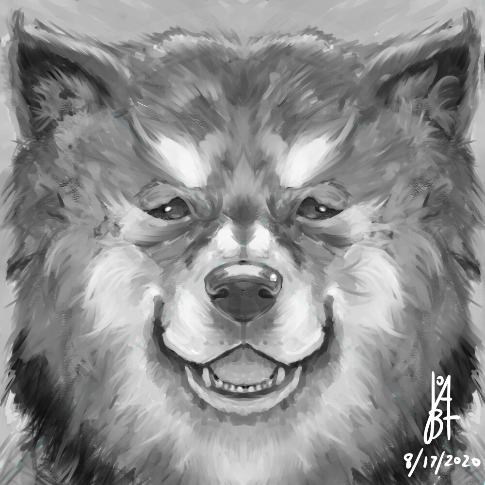 Final doggo