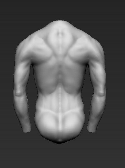ArtStation - chest sculpture exercice anatomy