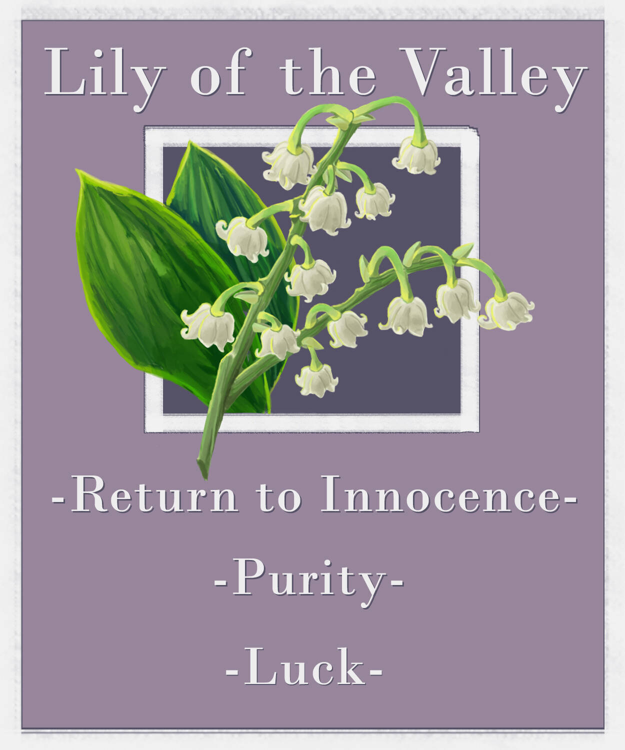 ArtStation - Lily of the Valley Infographic