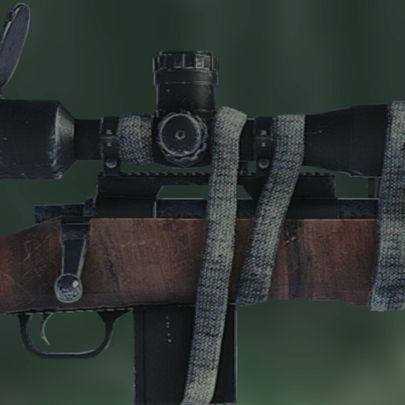 Sniper Rifle 