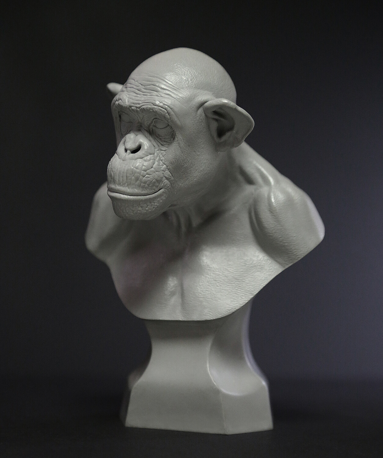 Lulu Bust Scale 1:3 