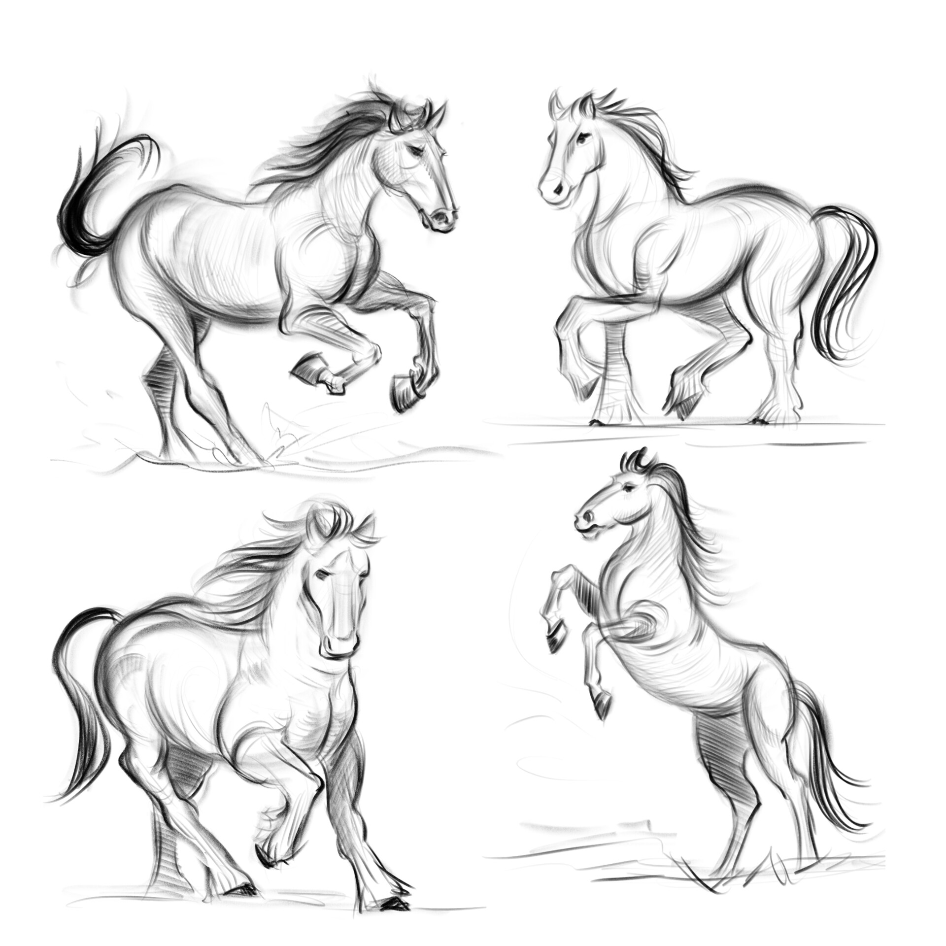 Horse Poses: Study1 by FlameFoxe on DeviantArt