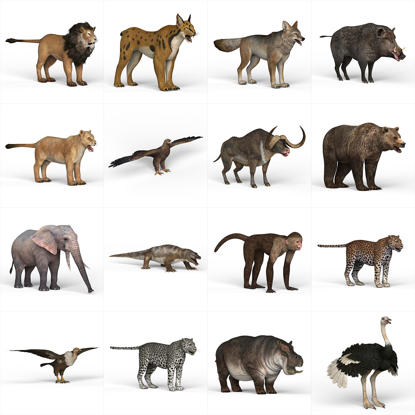 Cg Artist - Low Poly Wild Animal 3D Model Collection