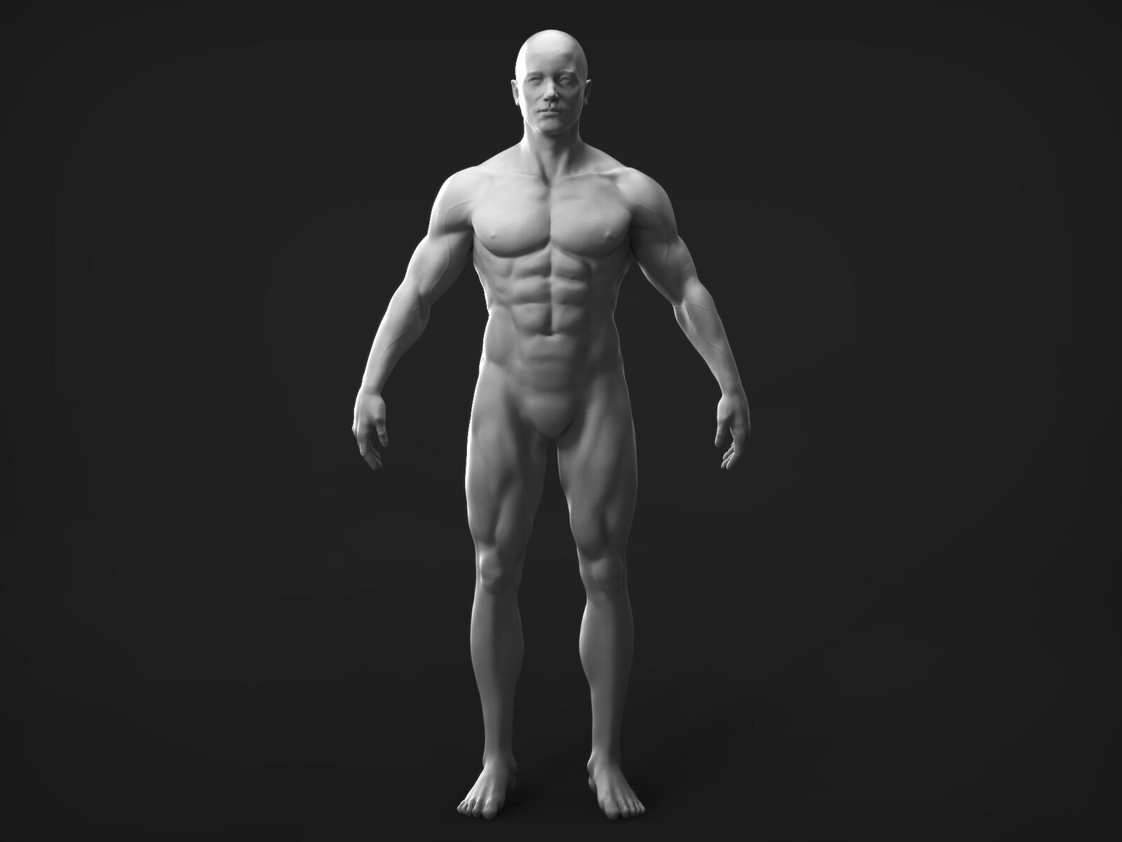 Anatomy Practice