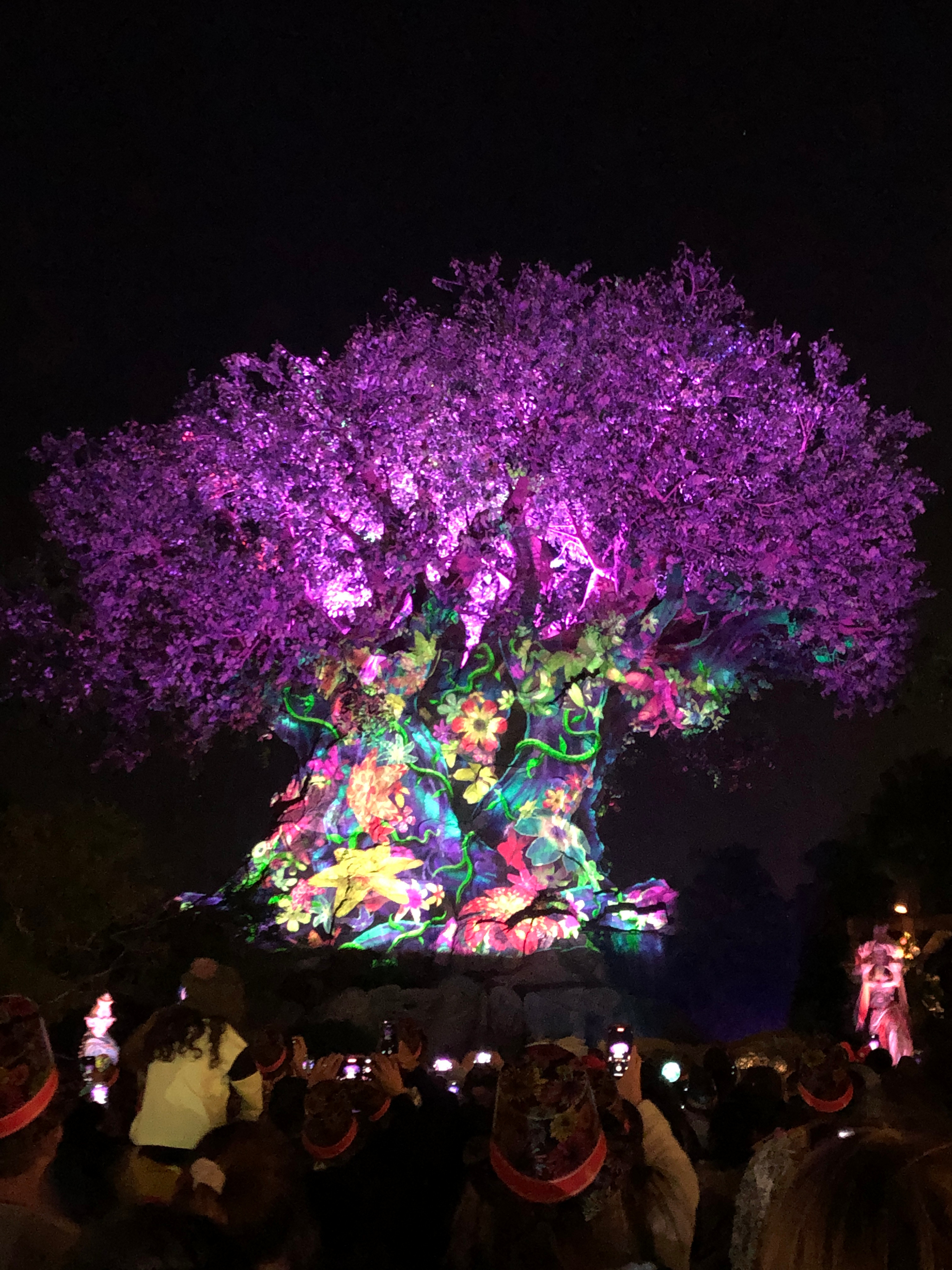 Awakening Tree at the beginning of the show