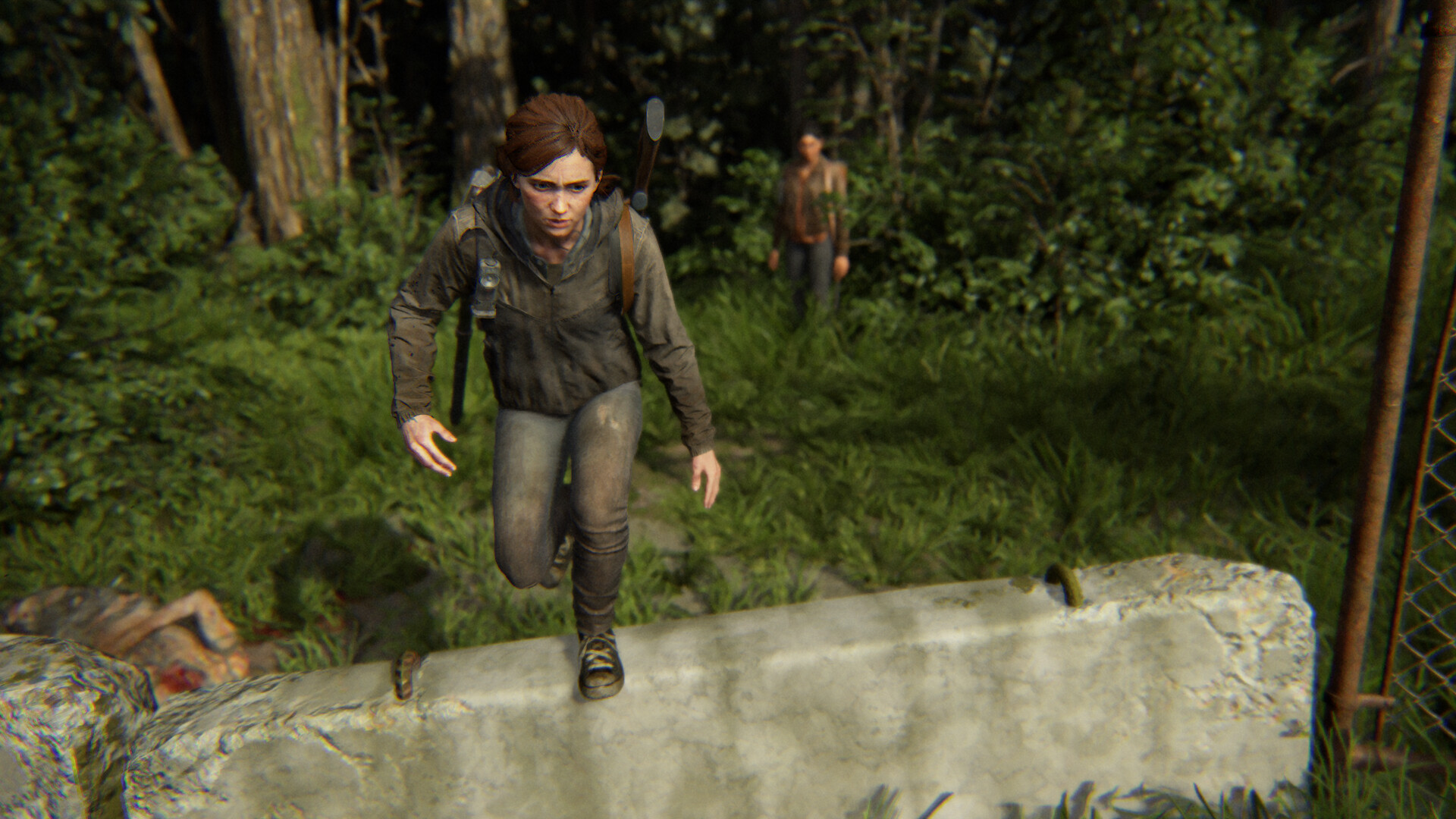 Rafael Hurtado Carrillo - The Last of Us II - Screen Captures