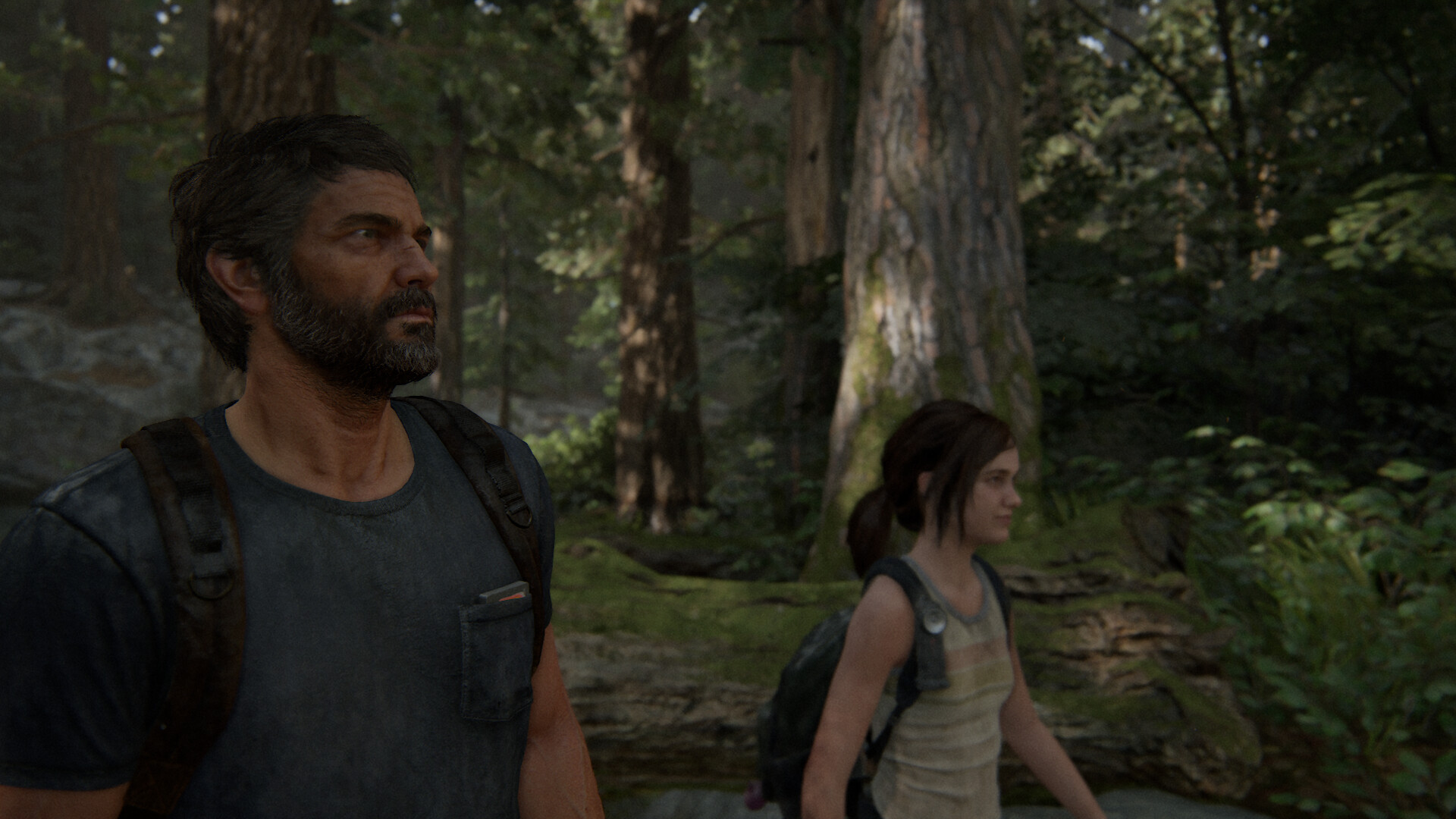 Rafael Hurtado Carrillo - The Last of Us II - Screen Captures