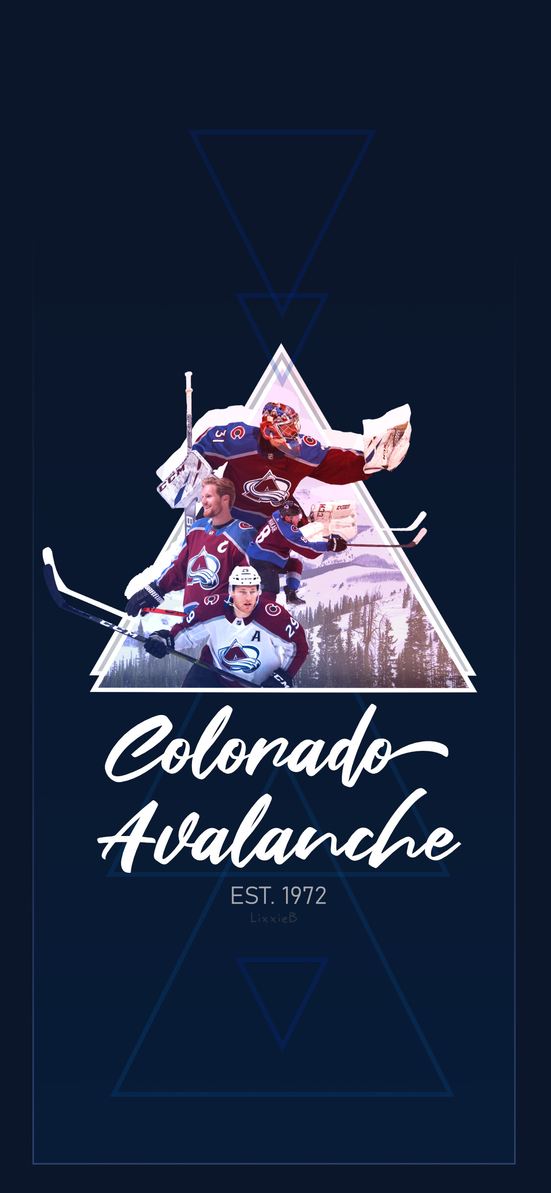 Avalanche Pictures  Download Free Images on Unsplash